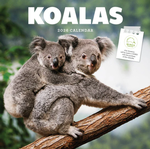2026 Koalas Calendar thumbnail