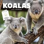 2027 Koalas Calendar