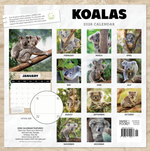 2026 Koalas Calendar alternate 3