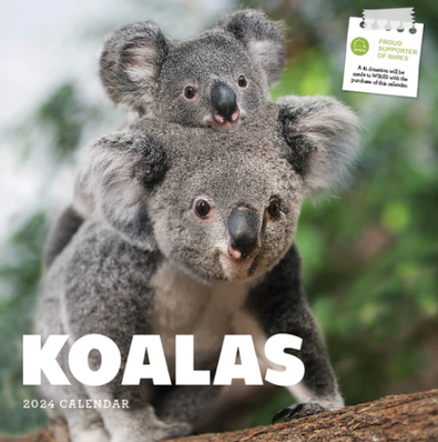 2024 Koalas Calendar cover
