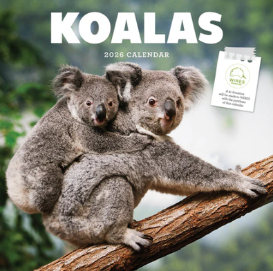 2026 Koalas Calendar cover