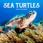 2024 Sea Turtles Calendar thumbnail