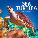 2026 Sea Turtles Calendar thumbnail