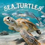 2027 Sea Turtles Calendar