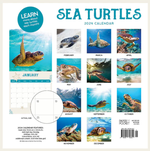 2024 Sea Turtles Calendar alternate 3