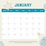 2026 Sea Turtles Calendar alternate 2