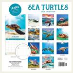 2026 Sea Turtles Calendar alternate 3