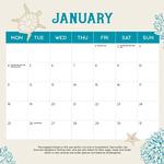2027 Sea Turtles Calendar alternate 2