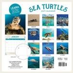 2027 Sea Turtles Calendar alternate 3