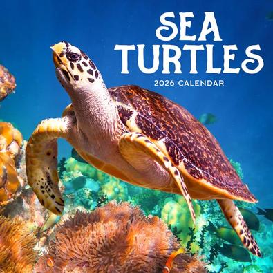 2026 Sea Turtles Calendar cover