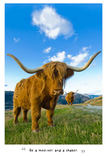 2025 Highland Cows Diary alternate 1