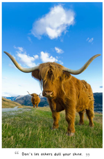 2026 Highland Cows Diary alternate 1