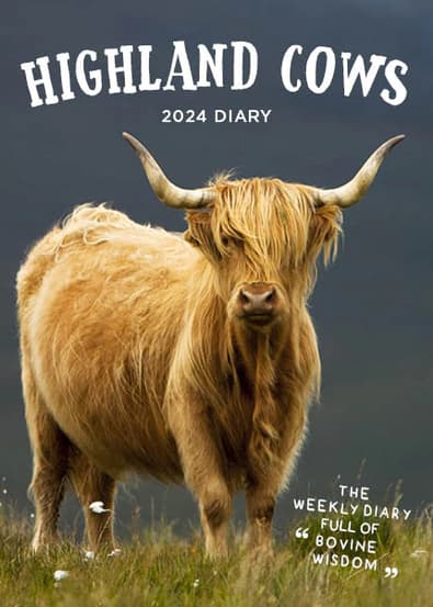 2025 Highland Cows Diary cover