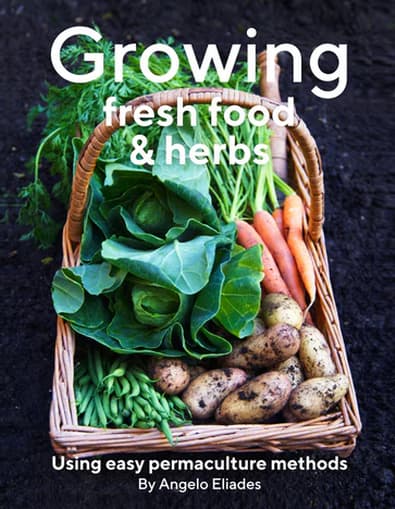 Growing Fresh Food & Herbs 2021 cover