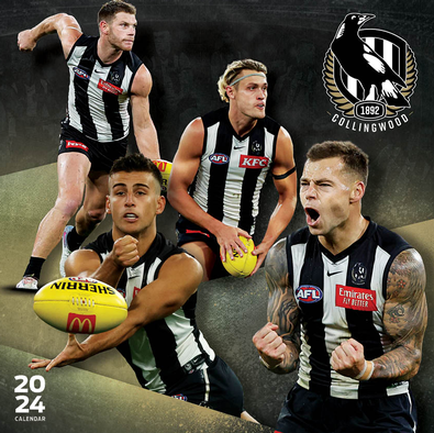 Afl 10 201: Your Questions Answered - jn5pi3o