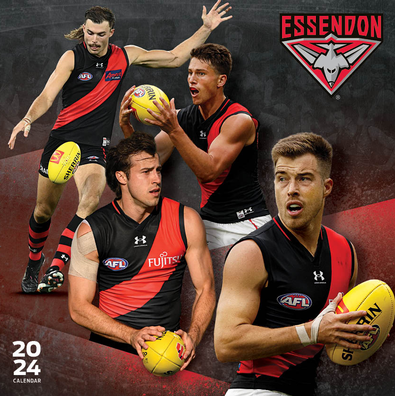 Afl 10 201: Your Questions Answered - 5besttz