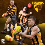 2024 AFL Hawthorn Hawks Calendar thumbnail