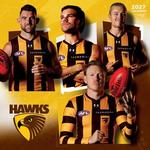 2027 AFL Hawthorn Hawks Calendar