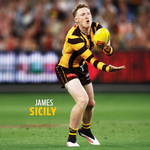 2026 AFL Hawthorn Hawks Calendar alternate 1