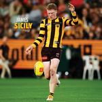 2027 AFL Hawthorn Hawks Calendar alternate 1