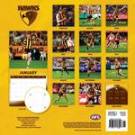 2027 AFL Hawthorn Hawks Calendar alternate 3