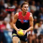 2027 AFL Melbourne Demons Calendar alternate 1