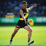 2027 AFL Richmond Tigers Calendar alternate 1