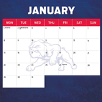 2024 AFL Western Bulldogs Calendar alternate 2