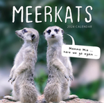 2024 A Meerkats Guide to Life Diary thumbnail