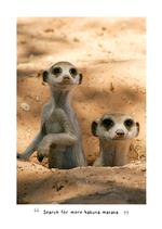 2027 A Meerkats Guide to Life Diary alternate 2