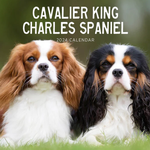 2024 Cavalier King Charles Spaniel Calendar thumbnail