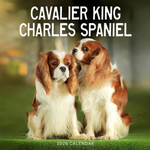 2026 Cavalier King Charles Spaniel Calendar thumbnail