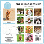 2024 Cavalier King Charles Spaniel Calendar alternate 3