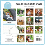 2026 Cavalier King Charles Spaniel Calendar alternate 3