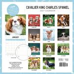 2027 Cavalier King Charles Spaniel Calendar alternate 3