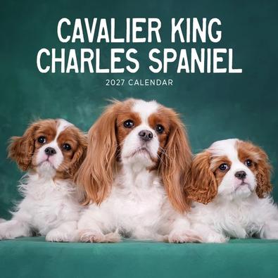 2027 Cavalier King Charles Spaniel Calendar cover