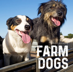 2024 Farm Dogs Calendar thumbnail