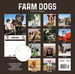 2024 Farm Dogs Calendar alternate 3