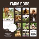 2027 Farm Dogs Calendar alternate 3