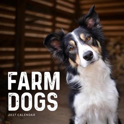 2027 Farm Dogs Calendar cover