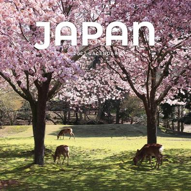2027 Japan Calendar cover
