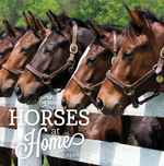 2024 Our Australia Horses at Home Calendar thumbnail