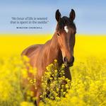 2026 Our Australia Horses at Home Calendar alternate 1