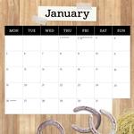 2026 Our Australia Horses at Home Calendar alternate 2