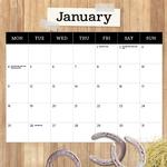 2027 Our Australia Horses at Home Calendar alternate 2