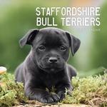 2026 Staffordshire Bull Terriers Calendar thumbnail