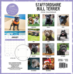 2024 Staffordshire Bull Terriers Calendar alternate 3