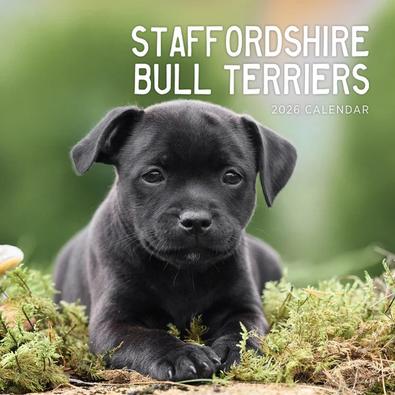 2026 Staffordshire Bull Terriers Calendar cover
