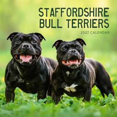 2027 Staffordshire Bull Terriers Calendar cover
