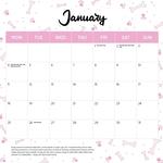 2027 Cavoodle Calendar alternate 2
